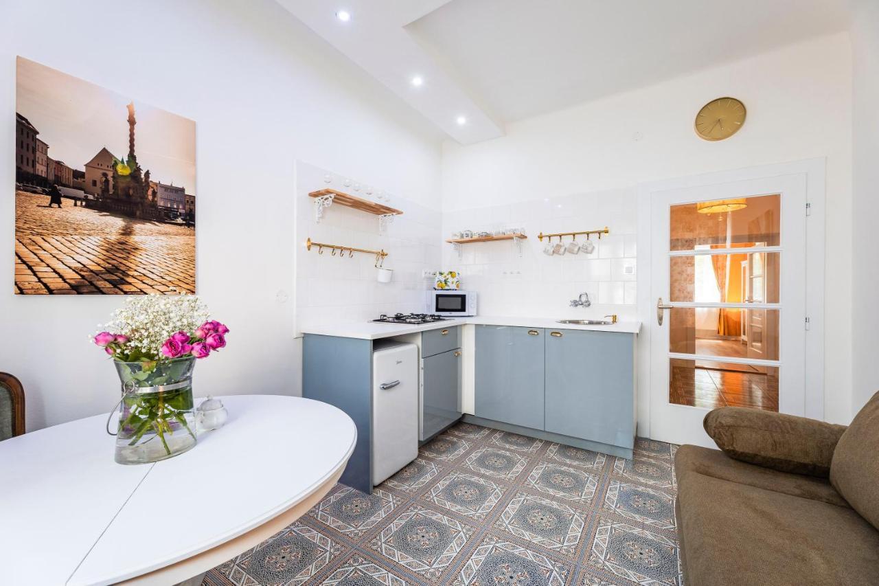 Silvie Apartments - Masaryk Dolni Olomouc Dış mekan fotoğraf